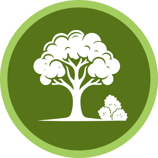 Tree and Shrub Care
